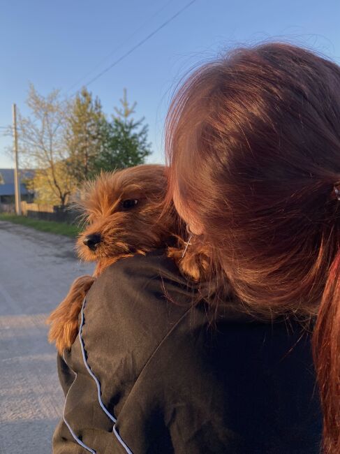 Виктория М.