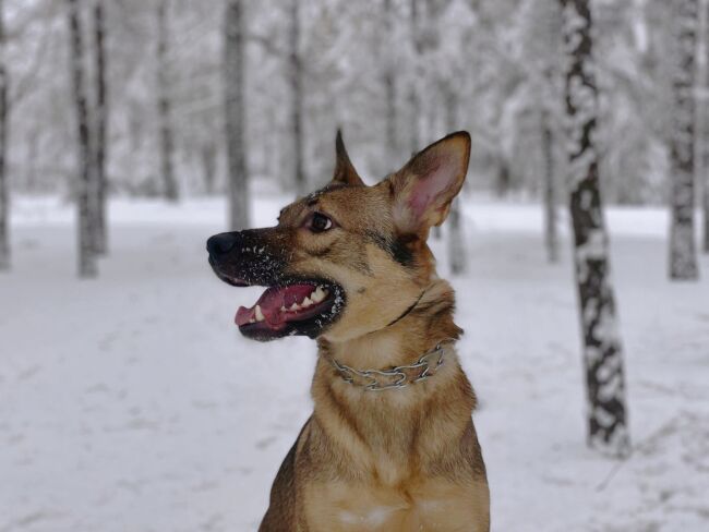 Анастасия Г.