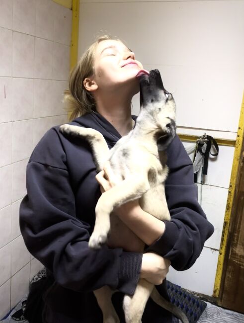 Виктория Ф.