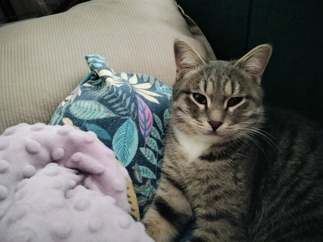 Анастасия М.