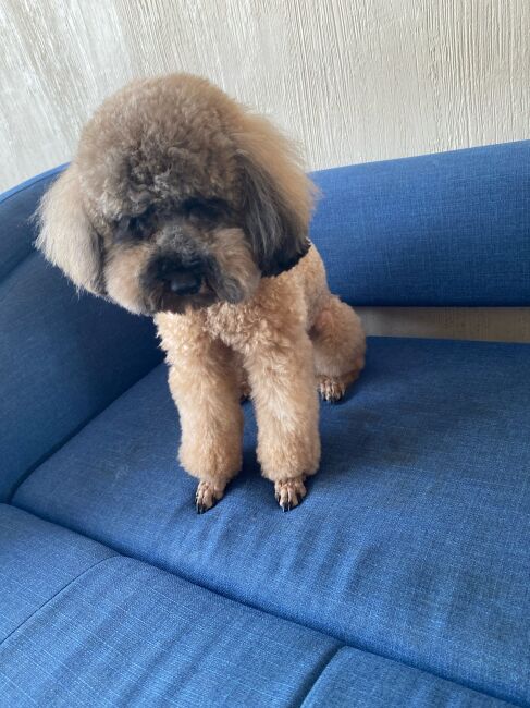 Григорий С.