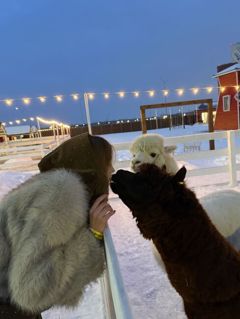 Елизавета С.